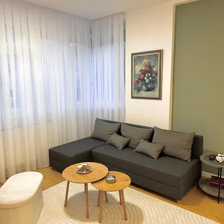 Vatra Apartment *